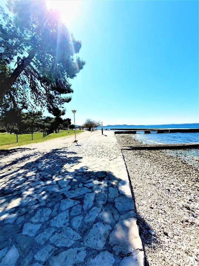 Apartment Zadar - Pine Diklo